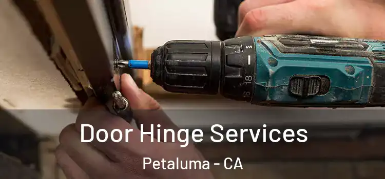 Door Hinge Services Petaluma - CA
