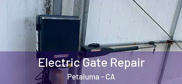 Electric Gate Repair Petaluma - CA