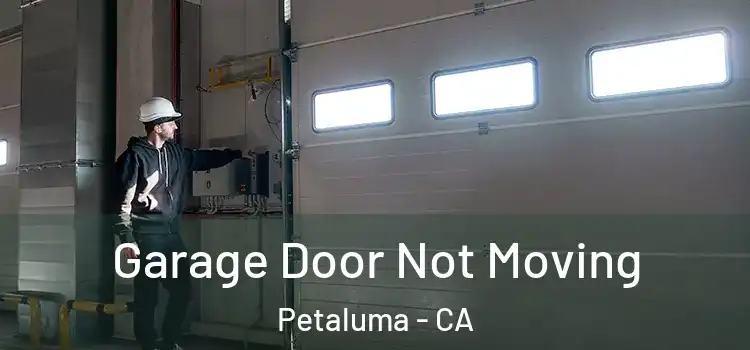  Garage Door Not Moving Petaluma - CA