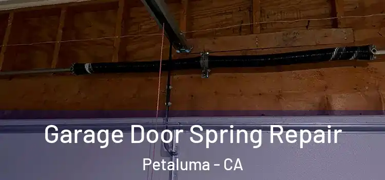  Garage Door Spring Repair Petaluma - CA