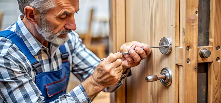 Mortise Replacement Lock Petaluma