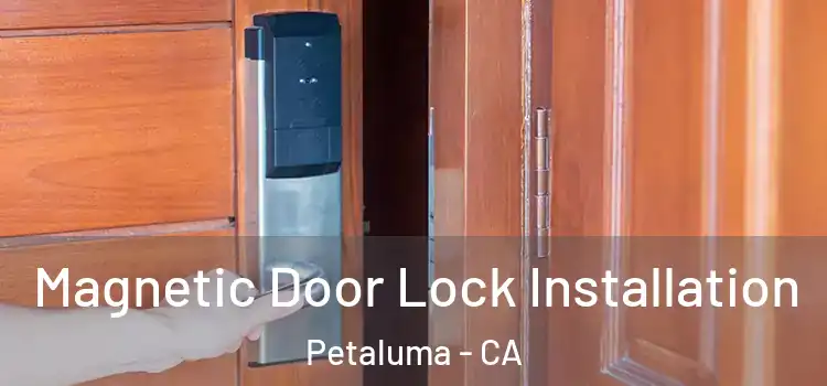  Magnetic Door Lock Installation Petaluma - CA