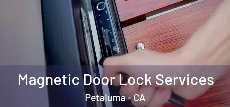 Magnetic Door Lock Services Petaluma - CA