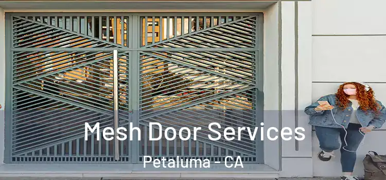 Mesh Door Services Petaluma - CA
